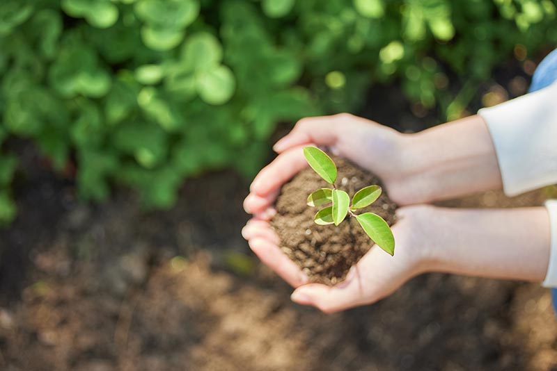 大发国际(welcome)官方网站